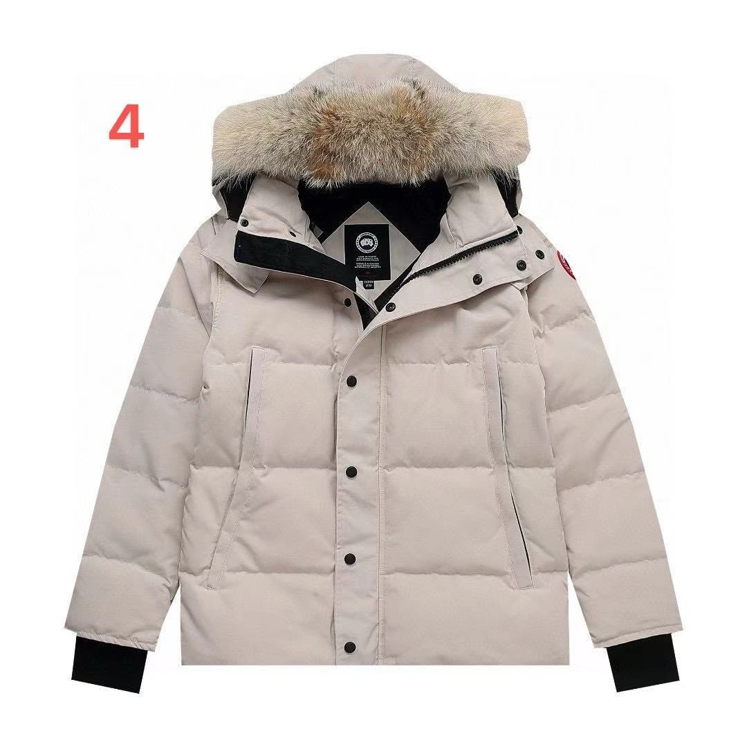 wg.luxury- 6oos5 7Colour item:D-F210J2598H-7